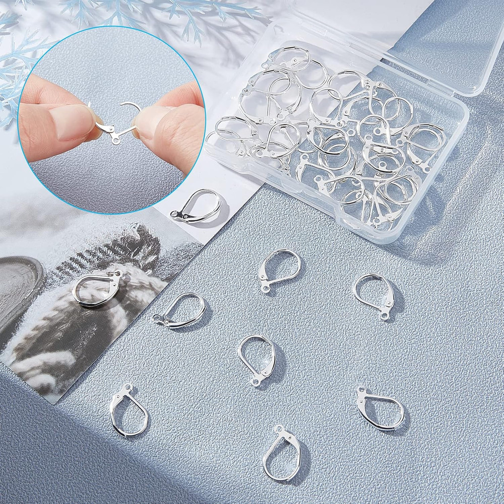 40Pcs Leverback Earrings Hooks Toggle Earring Clasps Lever Back Earring Hooks Ea