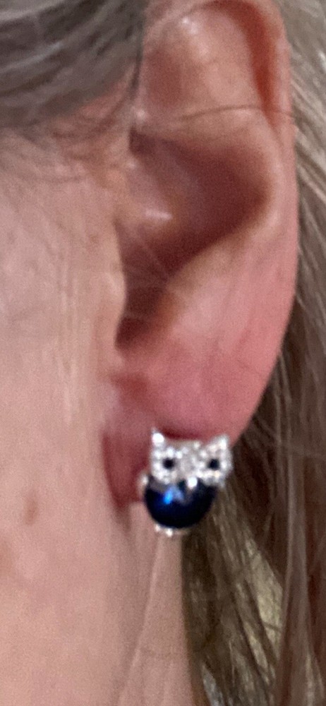Matching Pendant And Earrings