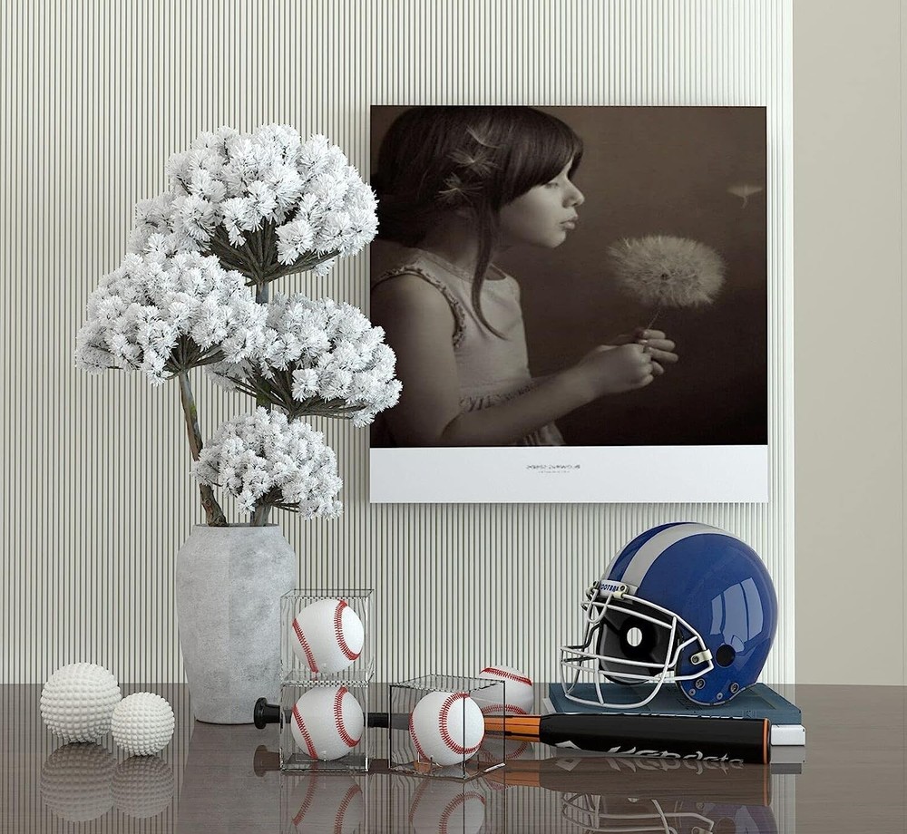 Baseball Display Case UV Protected Acrylic Clear Baseball Holder Square Cube ...