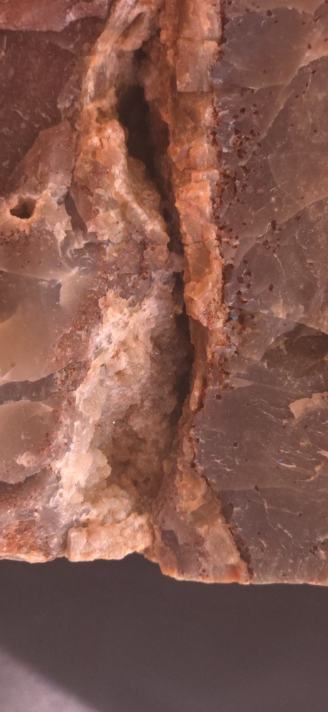 Az Rainbow Petrified Wood