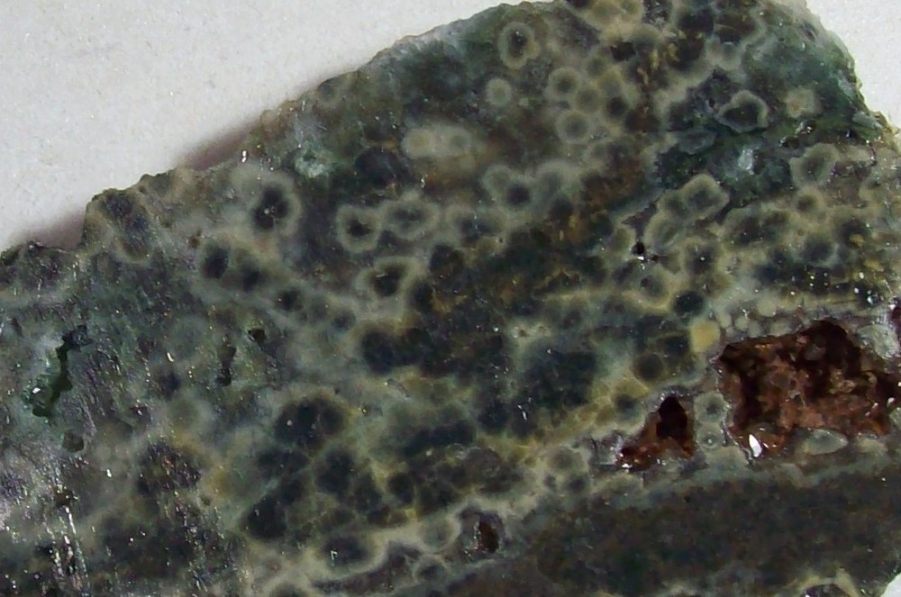 Natural Sea Jasper-Madagascar-Rough/Slab/Cab/Wrap-3260