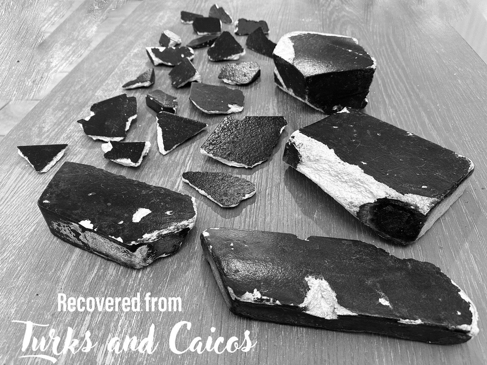 SpaceX Starship Flight 7 Ragged Islands Recovered Epic S33 Tile Relic & Extras