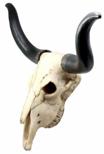 Ebros Large 27"Wide Longhorn Steer Cow Skull Wall Head Hanging Sculpture Plaque