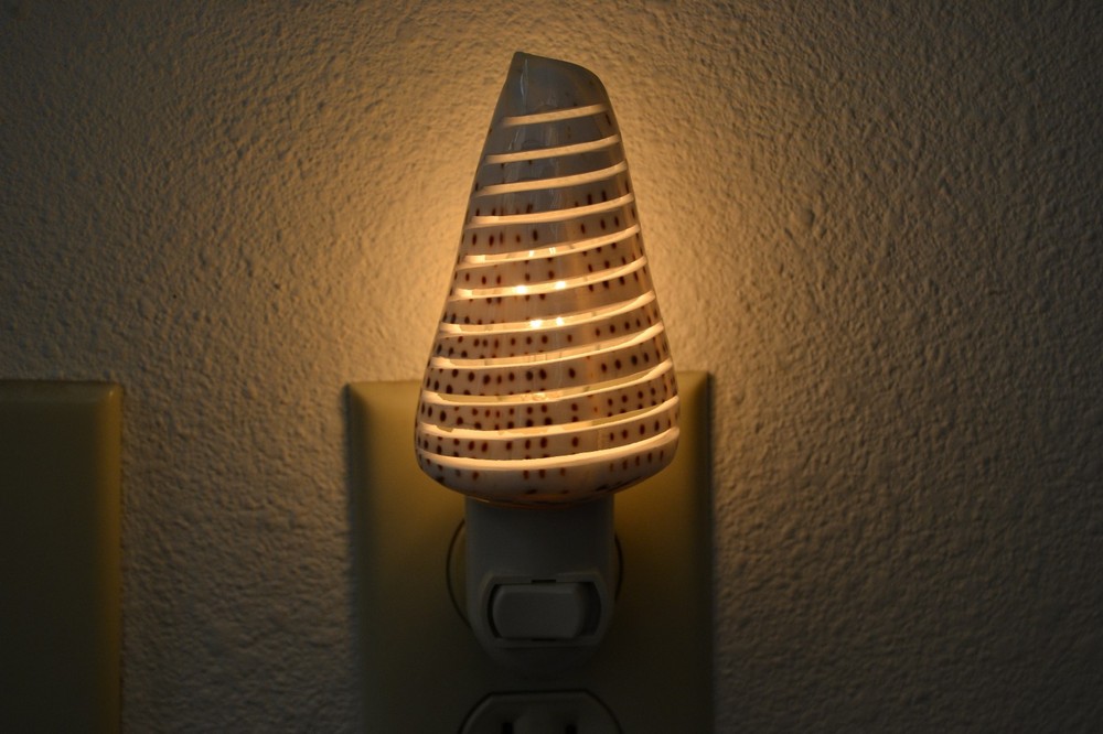 STRIPE LEOPARD CONE SEA SHELL NIGHT LIGHT BATHROOM KITCHEN #7251