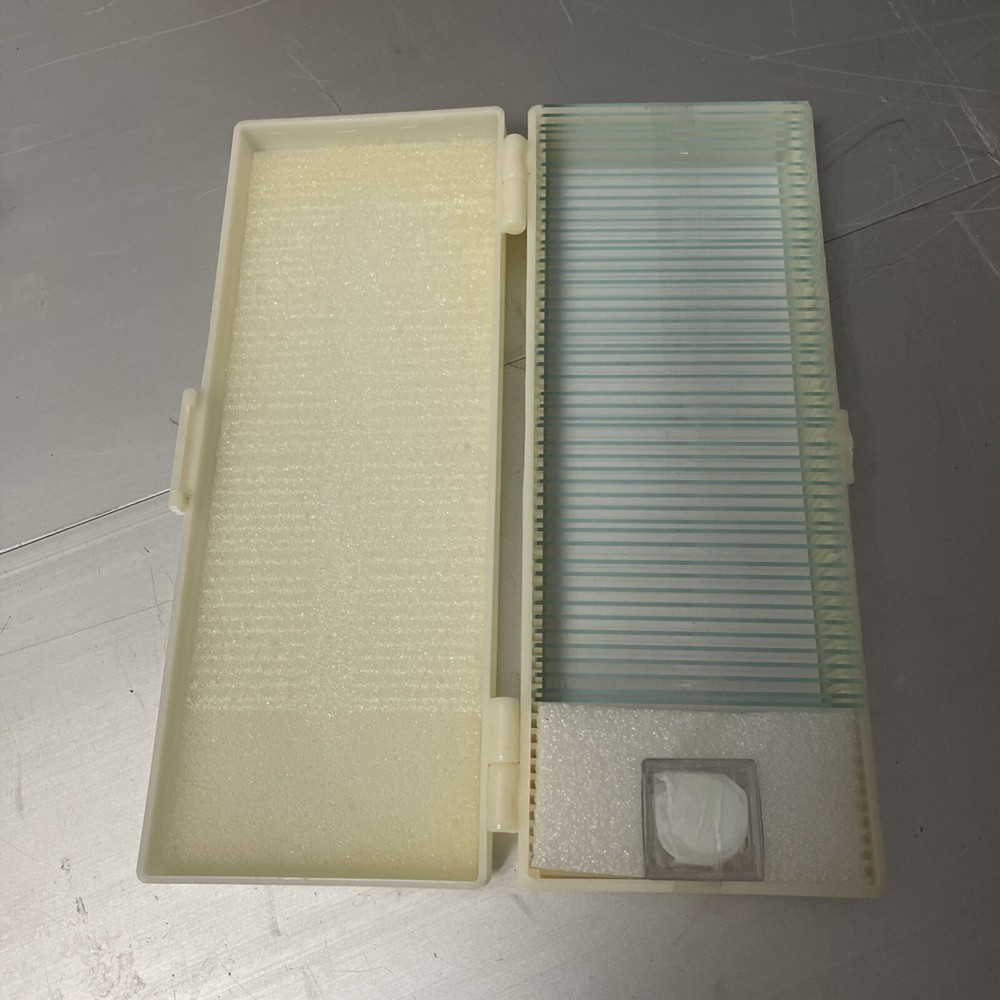 50Pcs Prepared Microscope Slides With Covers