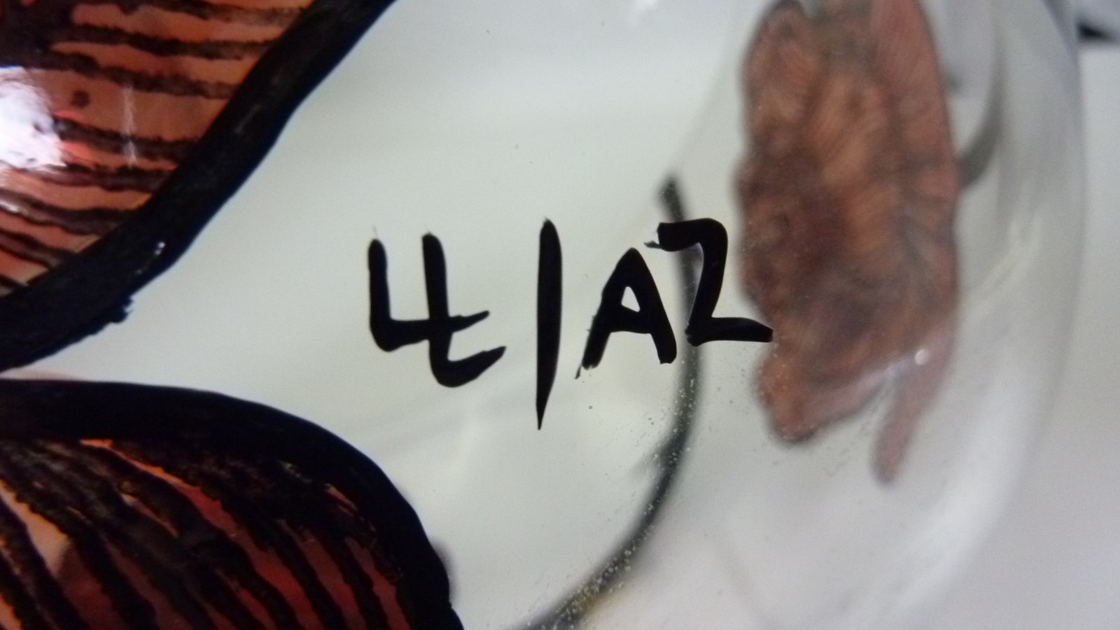 KOSTA BODA Bowl Red Rose Tattoo 9” Large Decorative 🌹 Signed # ’d Art Glass 3