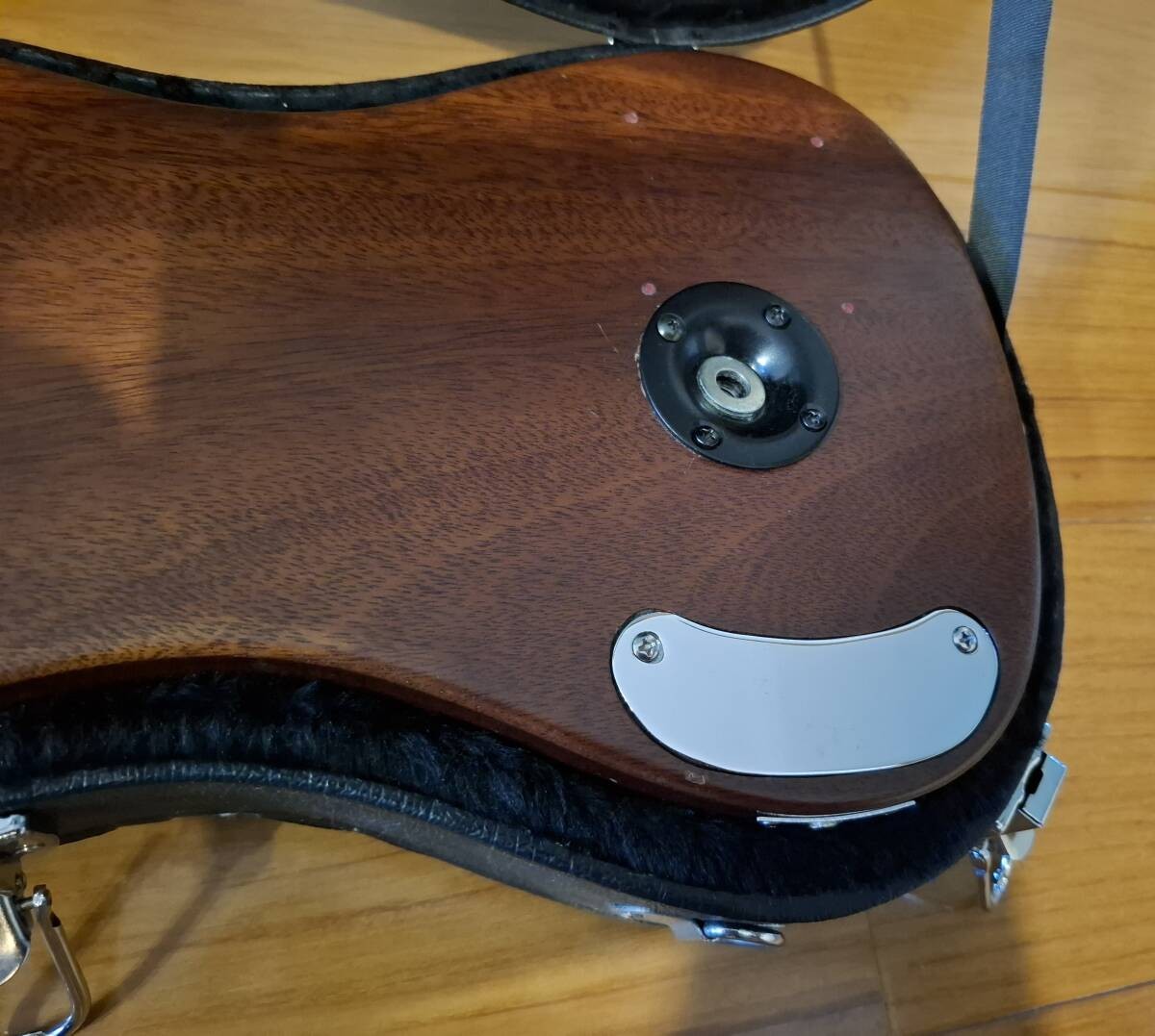 SX Guitars 6-String Electric Lap Steel Guitar Hawaiian with Hard Case