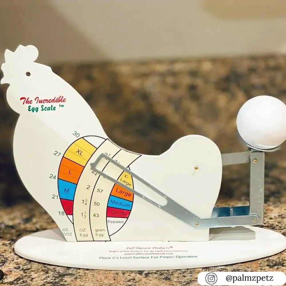 The Incredible Egg Scale – Decorative Egg -Themed Kitchen Scale