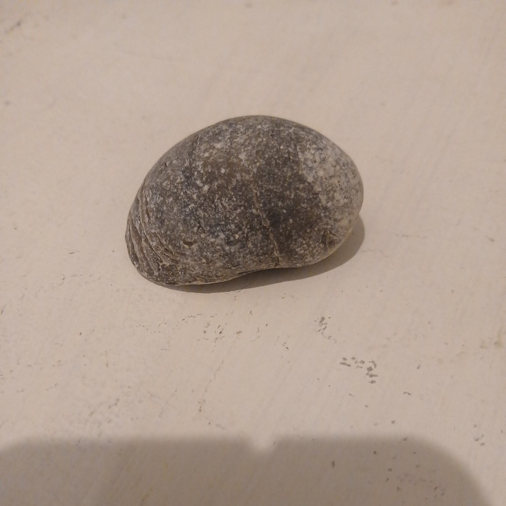 Devils Toe Nails Fossil Possibly 200 Million Years Old