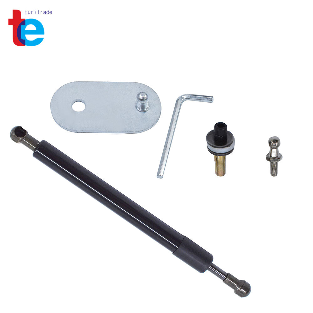 DZ43200 Tailgate Assist Lift Support Shock Struts For Ford F-150 2004-2010-2014