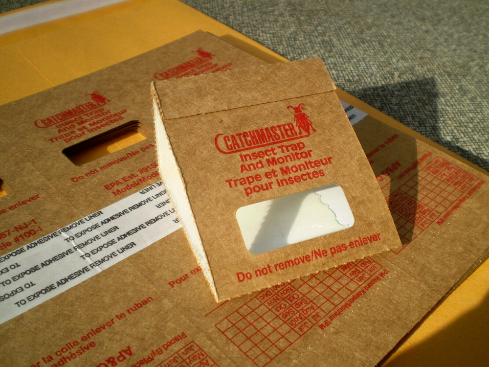 Insect Bug Roach Spider Sticky Traps Qty 54