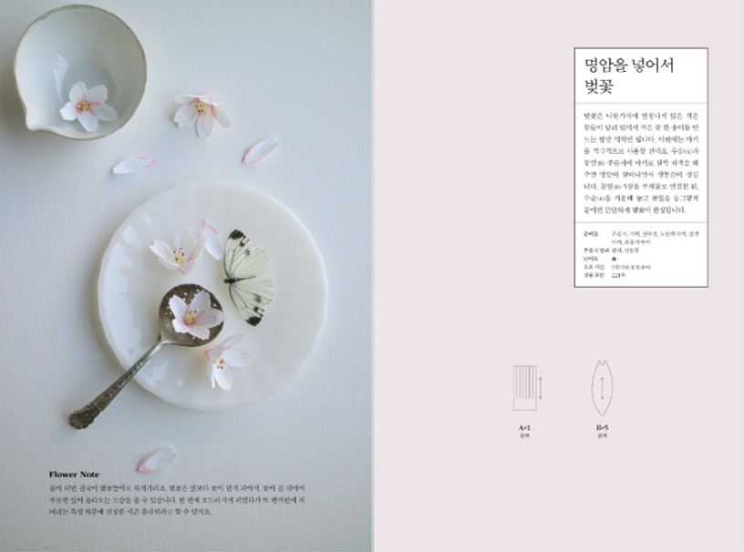 Paper Flowers Making - Korean Guide 페이퍼 플라워를 추천합니다