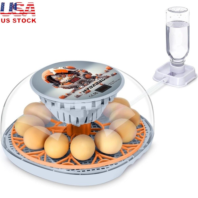 Automatic Egg Incubator 360° View High Hatch Rates Humidity Control Easy Setup