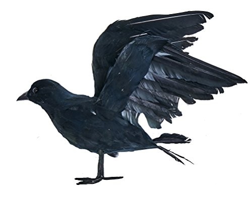 10" Feathered Crow, Black