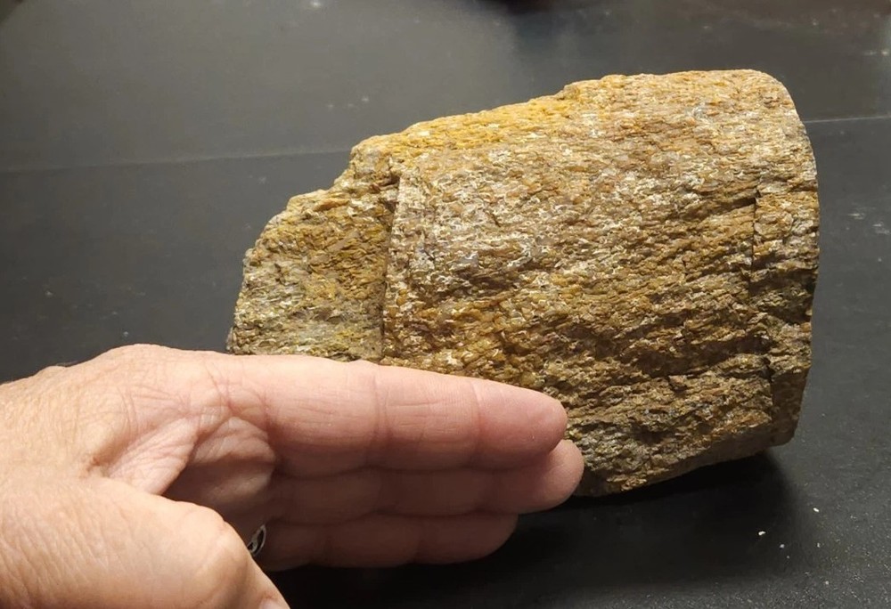 Colorado Gem Bone
