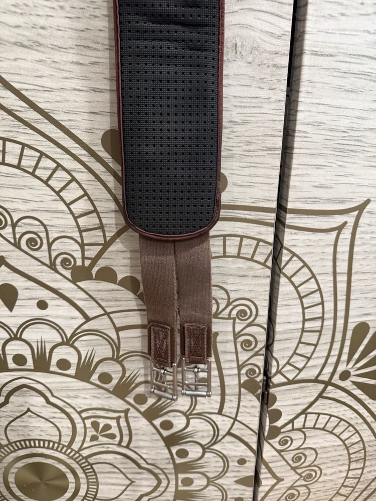 Professional Choice VenTech Girth 56