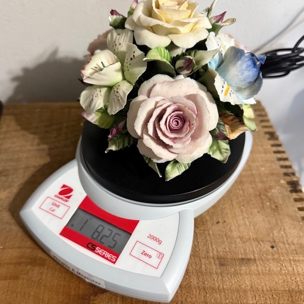 Ohaus CS200 Scale Preowned Tested Working