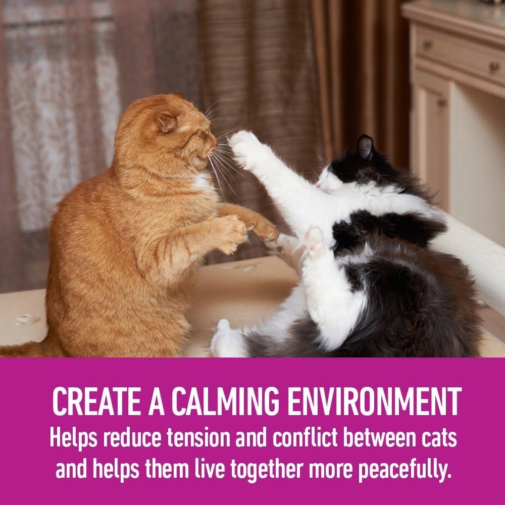 Multicat Diffuser Kit for Cat Calming