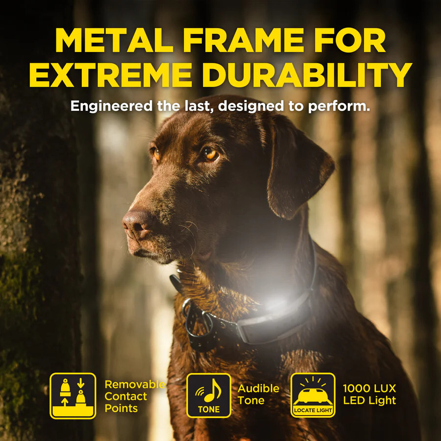 Dogtra 1902X 2 Dog Trainer + HANDSFREE PLUS Square, 3/4 Mile Range, Boost and XP