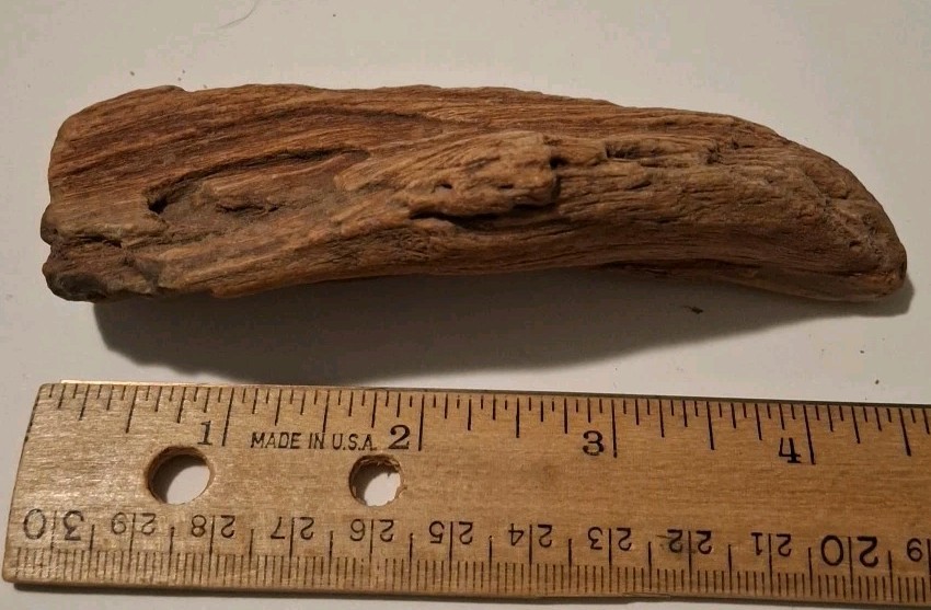 Petrified Driftwood 130g