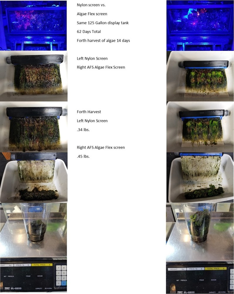 Algae Clean Scrubber Replacement WSR-S7 Algae Flex Screen.