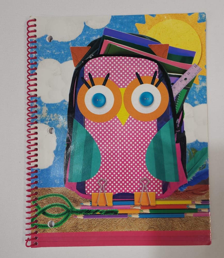 Set of 3 Lined Owl Notebooks Different Sizes & Styles
