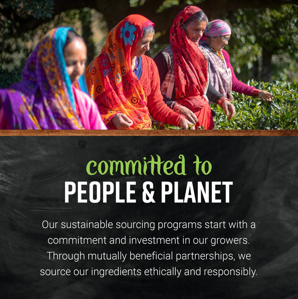 Yeast Nutritional Mini-Flakes Kosher 1 Lb. Bulk Bag.