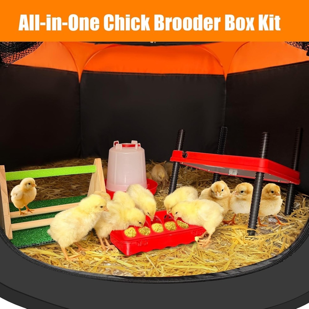Brooder Box for Chick, 6-in-1 Chick Starter Kit, Includes Brooder Heating Plate