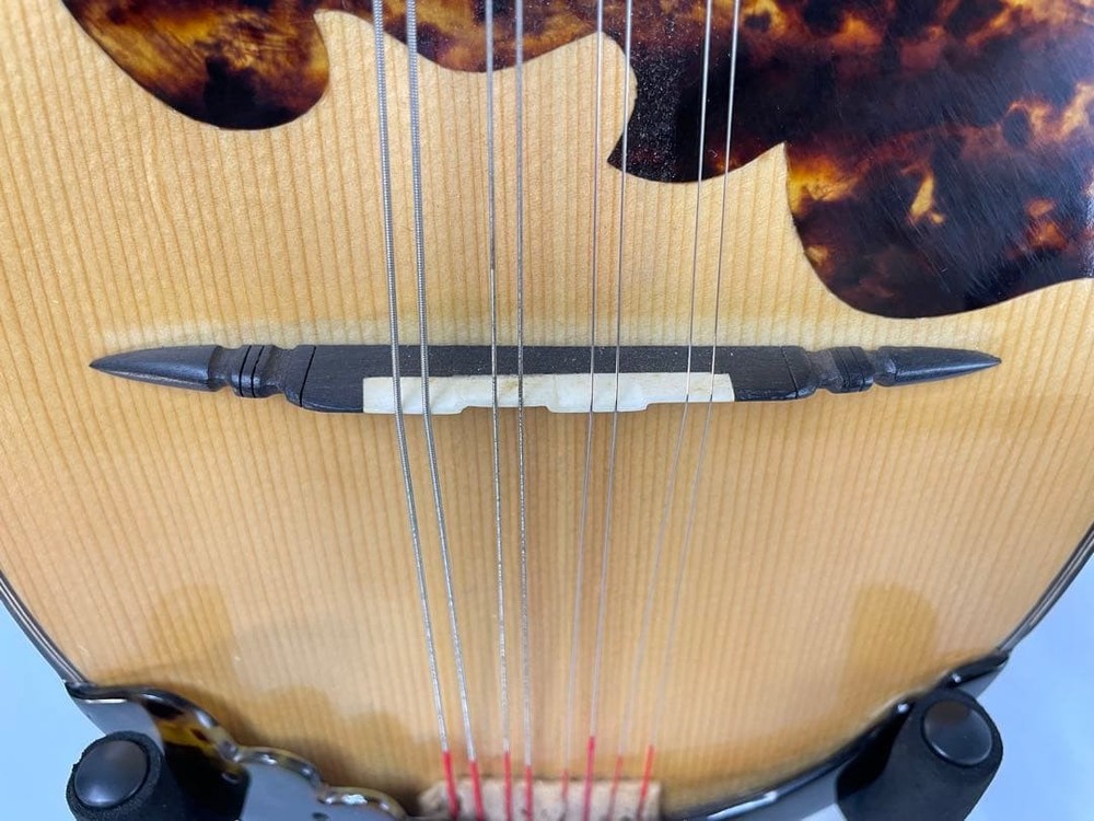 Watanabe/Watanabe High-end mandolin