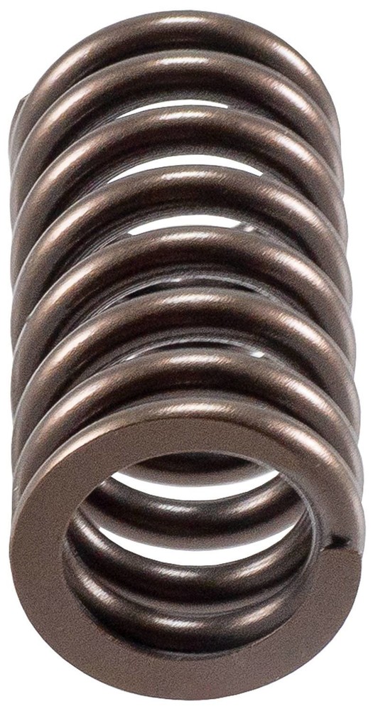 Engine Valve Spring-Stock Melling VS-1184