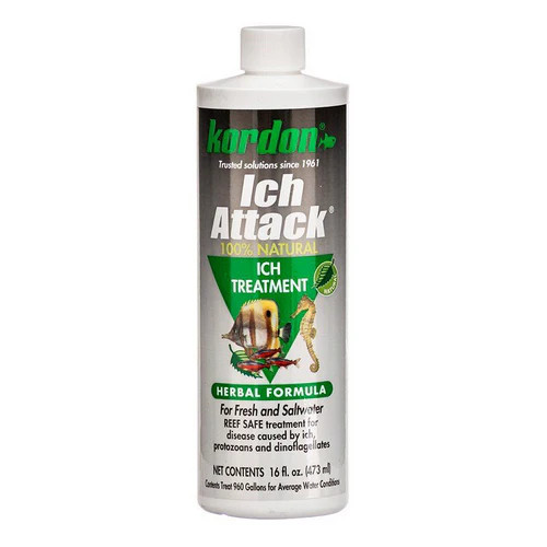 Ich Attack 16 oz By Kordon