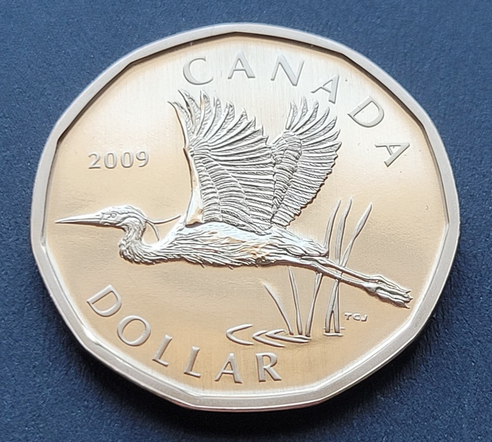 ***  CANADA   LOONIE  2009  ***  SPECIMEN  ***  BLUE  HERON  ***