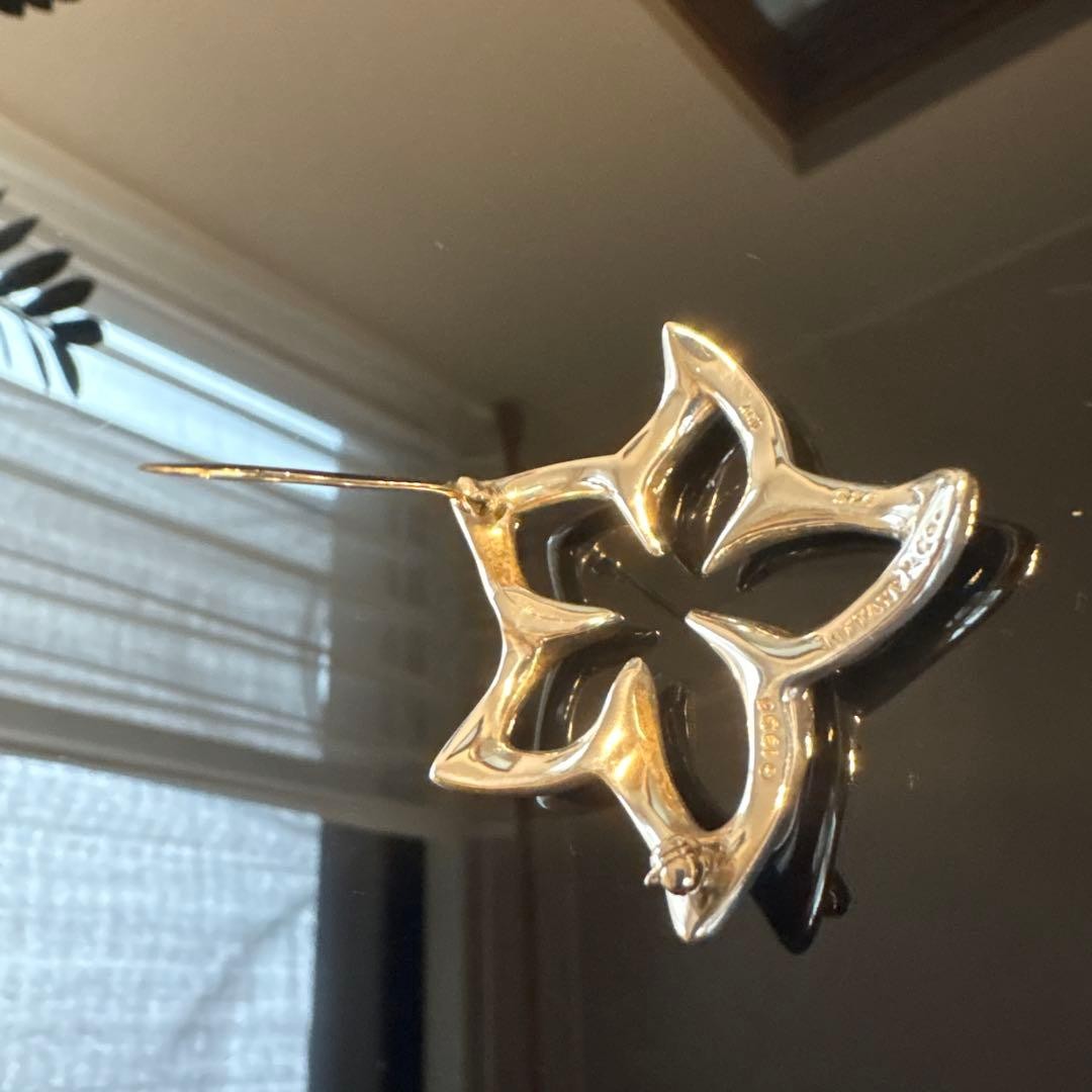 Tiffany & Co. Plumeria Flower Brooch Pin Sterling Silver SV925 No Box Rare