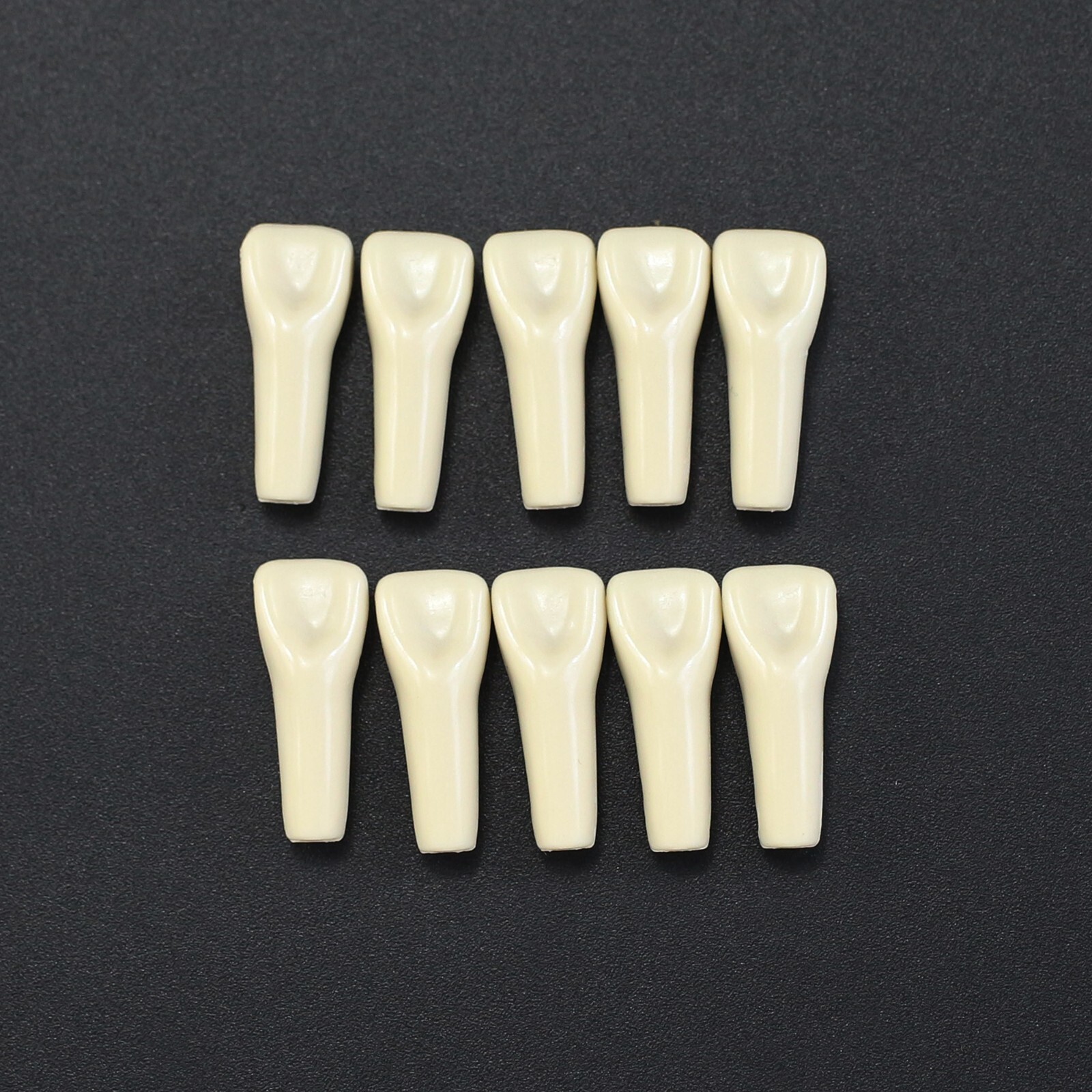 Columbia 860 10pcs/lot Dental Individual Typodont Teeth Replacement