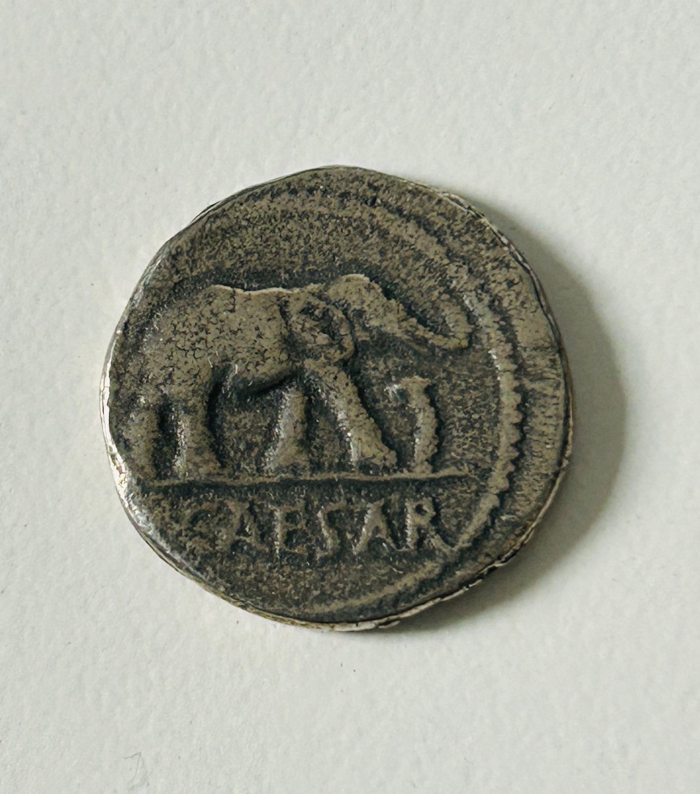 Julius Caesar AR Denarius Silver Elephant Coin 44 BC WRL Westair Collectible..