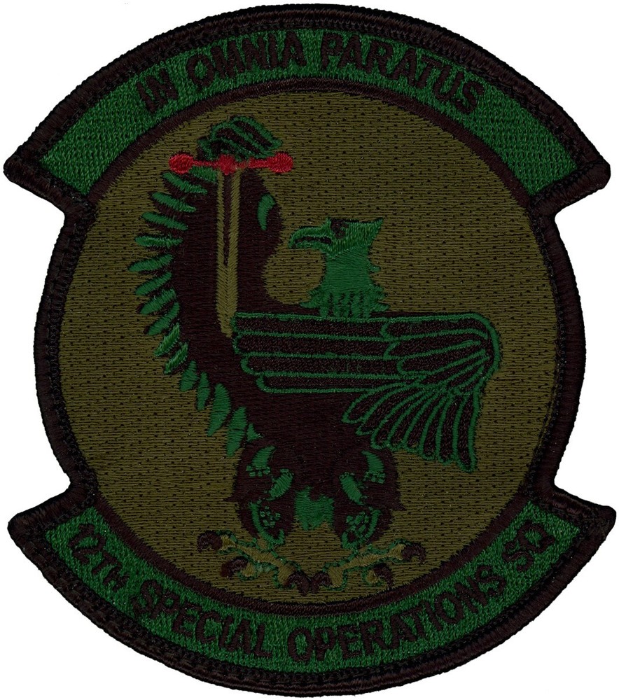 USAF 12th SPECIAL OPERATIONS  SQUADRON PATCH - SUBDUED