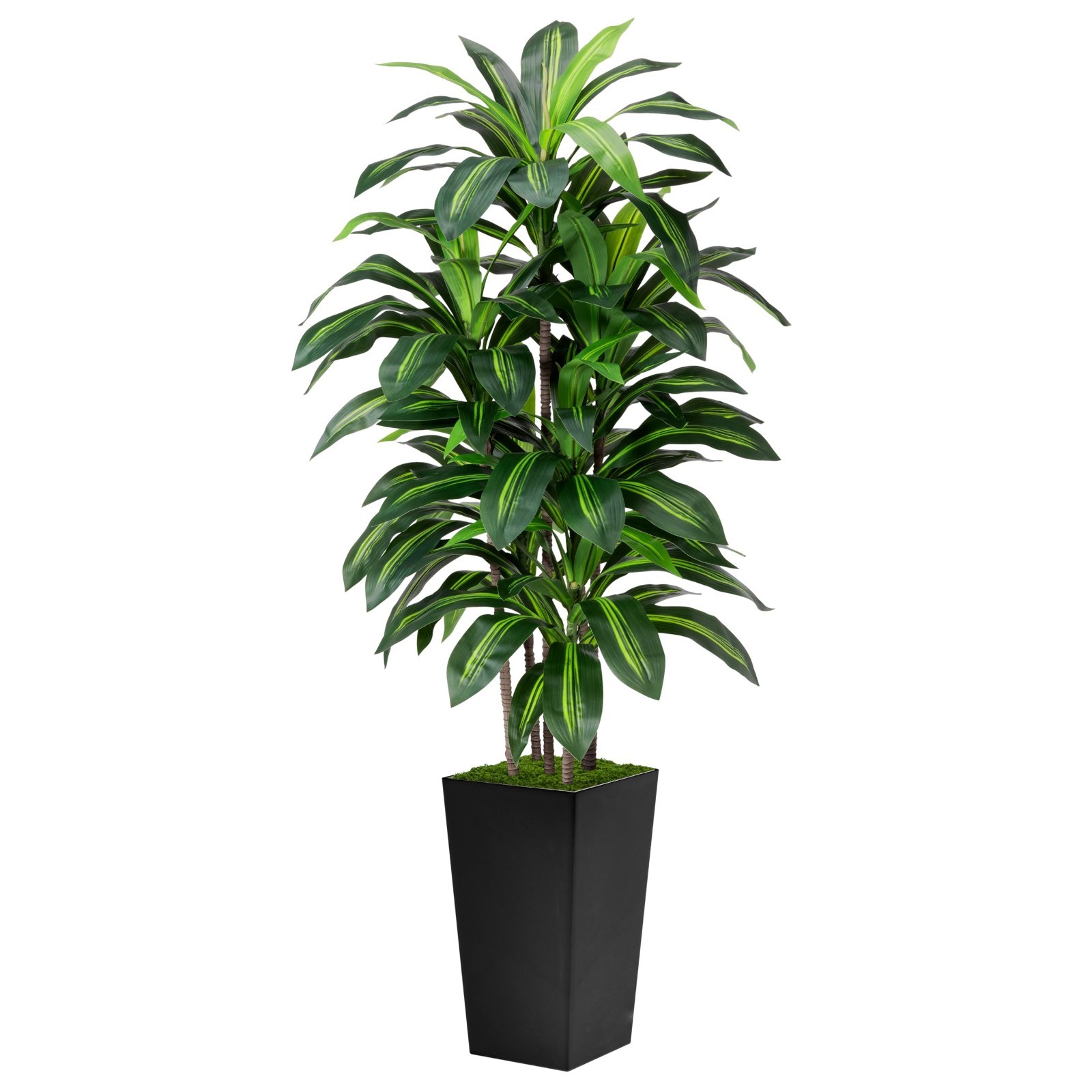 Artificial Dracaena Tree 5FT Fake Tree with Black Tall Planter Indoor Decor