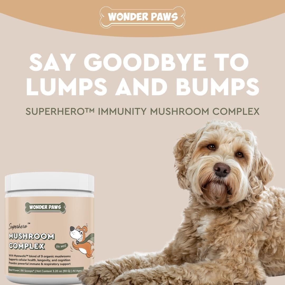 Wonder Paws Immune Support Mushroom Powder for Dogs – 90 Scoops