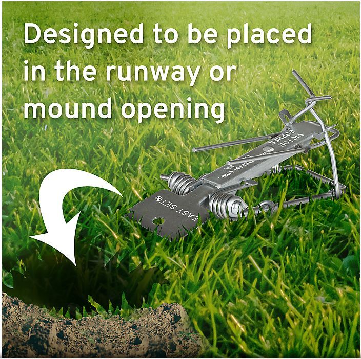 Victor Easy Set Gopher Trap - Model 0611 - 2 Traps Per Package - ADC Nuisance