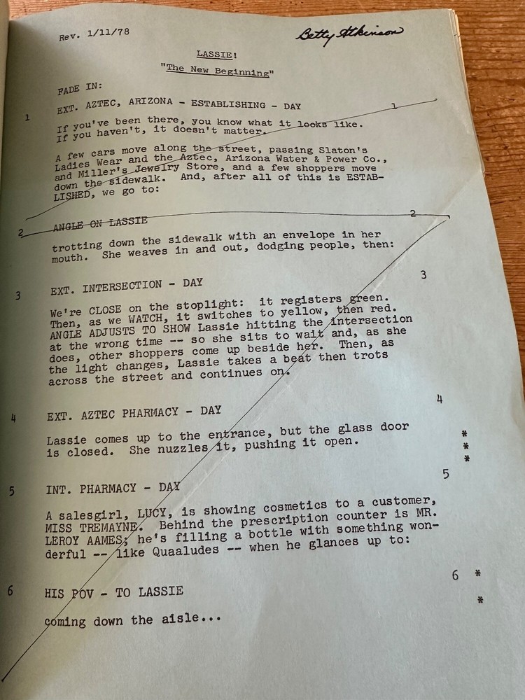 Lassie: A New Beginning TV MOVIE SCRIPT SCREENPLAY