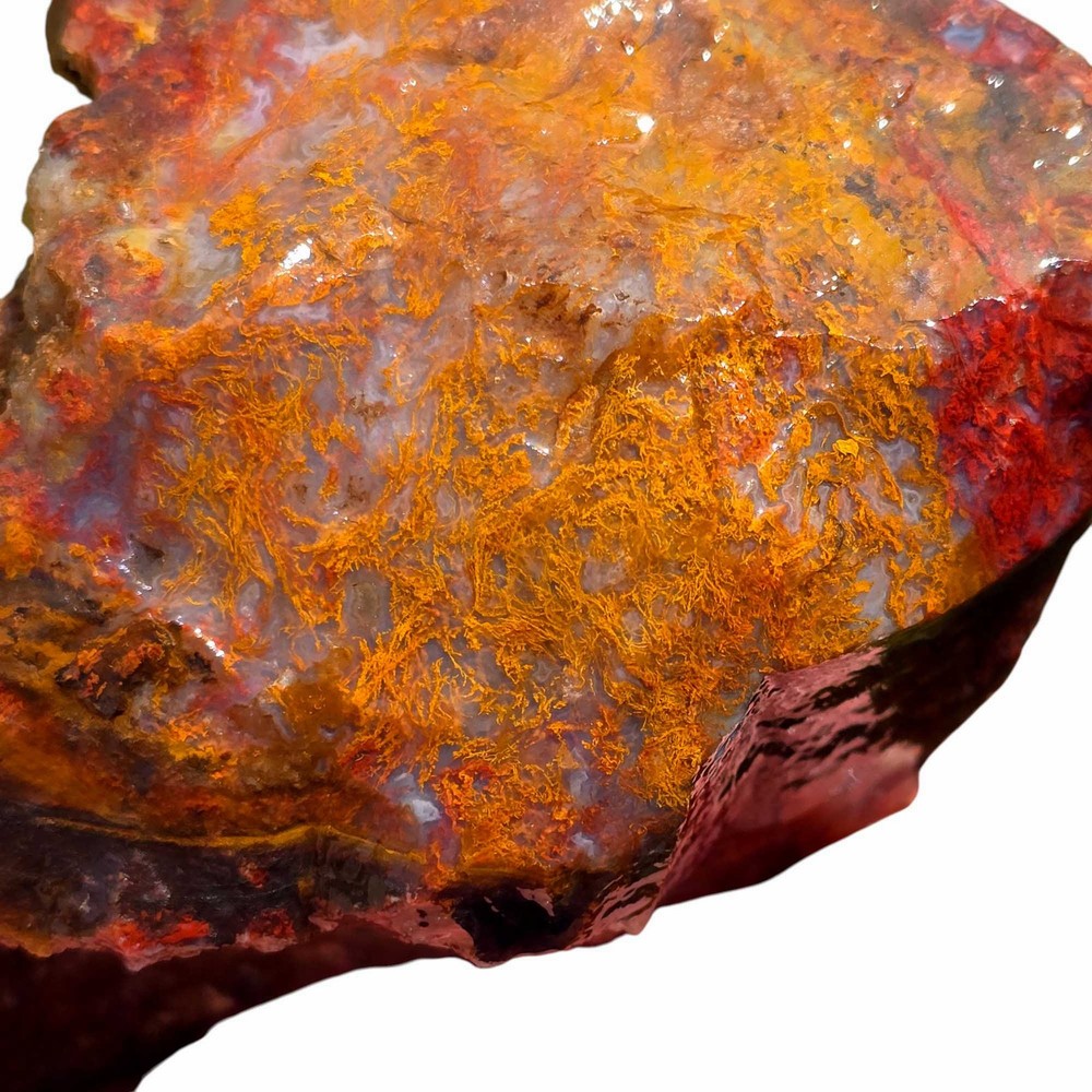 Random Pull San Carlos Agate Lapidary Rough Uncut Chunks