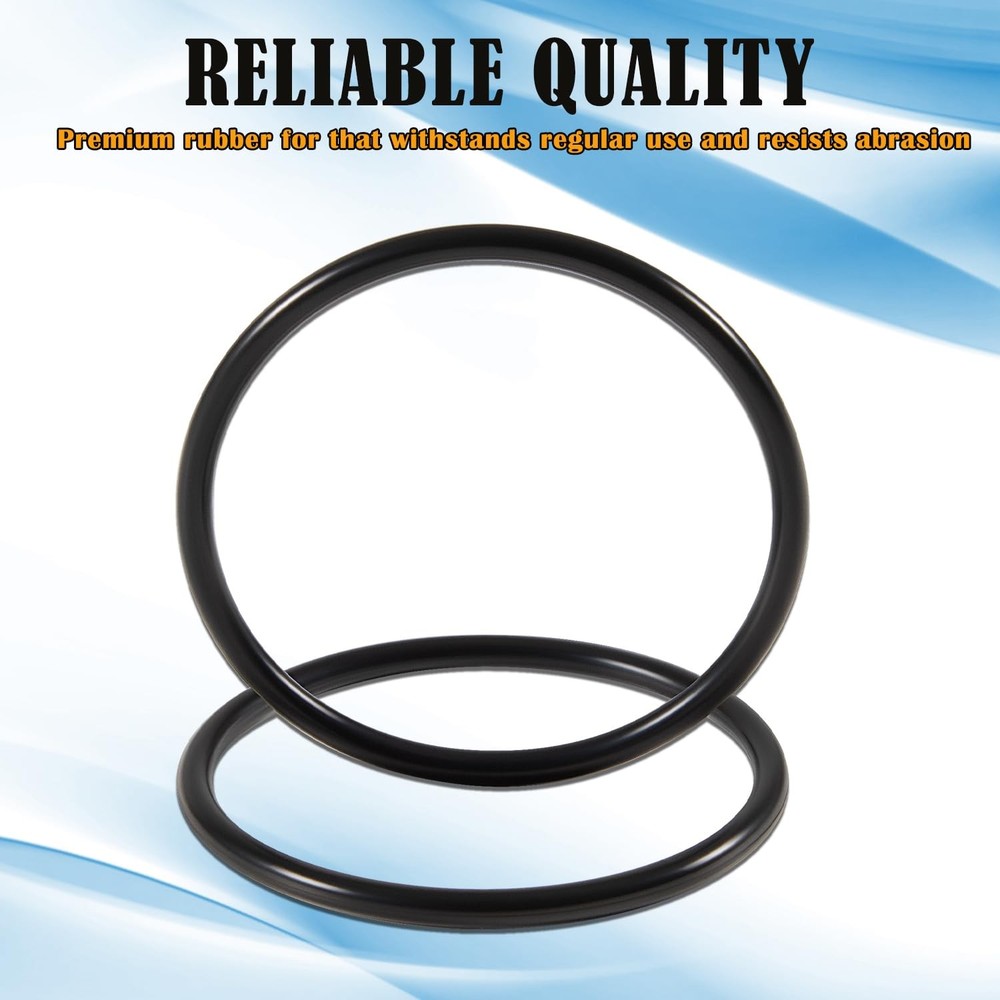 2-Pack 273062 O-Ring for Sta-Rite Dynamo Pumps, Push Pull,Slide Pool & Spa Valve