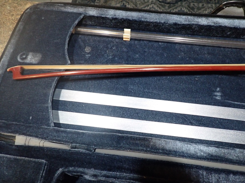 Infinity 4/4 Size Student Violin With Hard Case And Bow
