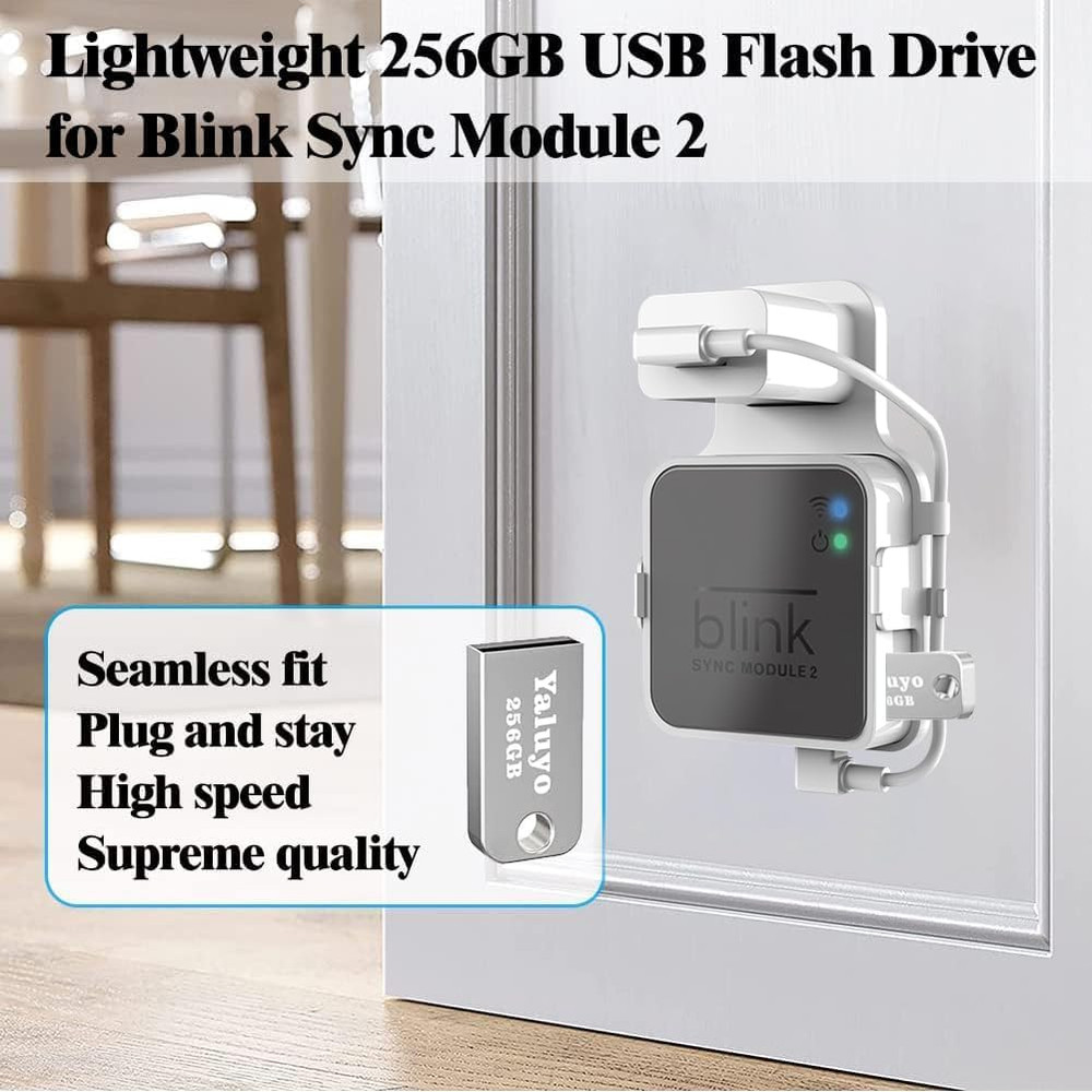 256GB USB Flash Drive& Blink Sync Module 2 Mount, Local Video Storage, Tool-Free
