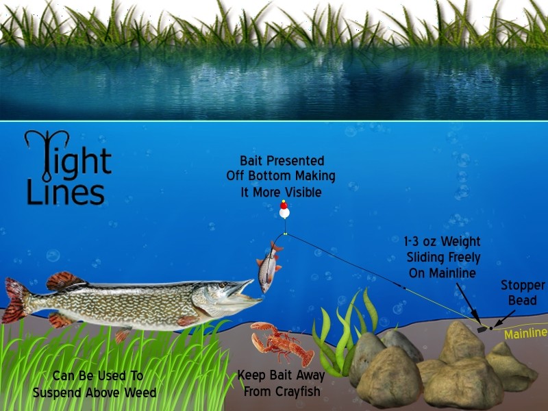 Barbed Treble Pop Up Rig Wire Trace- Customizable - Extra Long - Pike & Predator