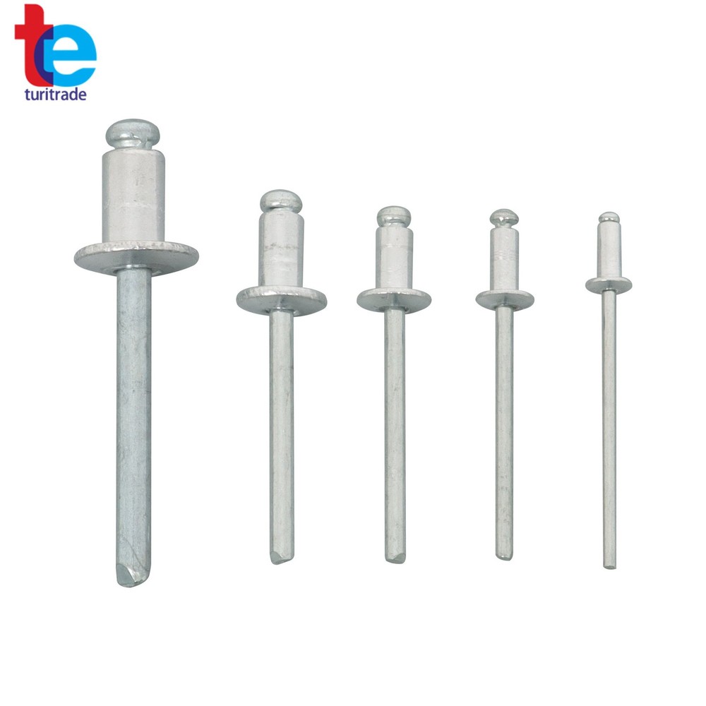 Multi-purpose 1/4 Pop Rivet Gun Kit 200 Blind Rivet 5 Interchangeable Rivet Head