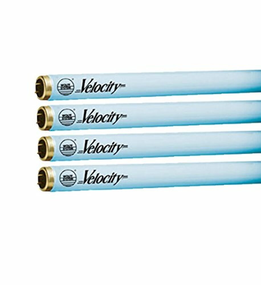 Wolff Velocity F71 100W Bi Pin Lamps Tanning Bed Bulbs