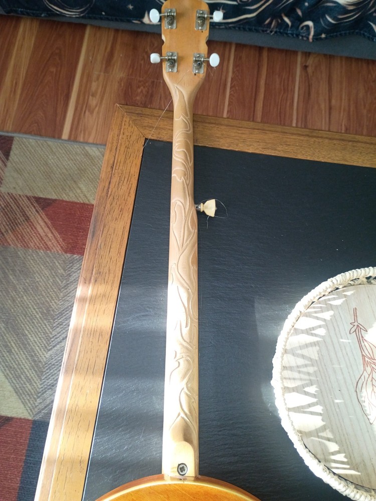 Banjo Needs Strings