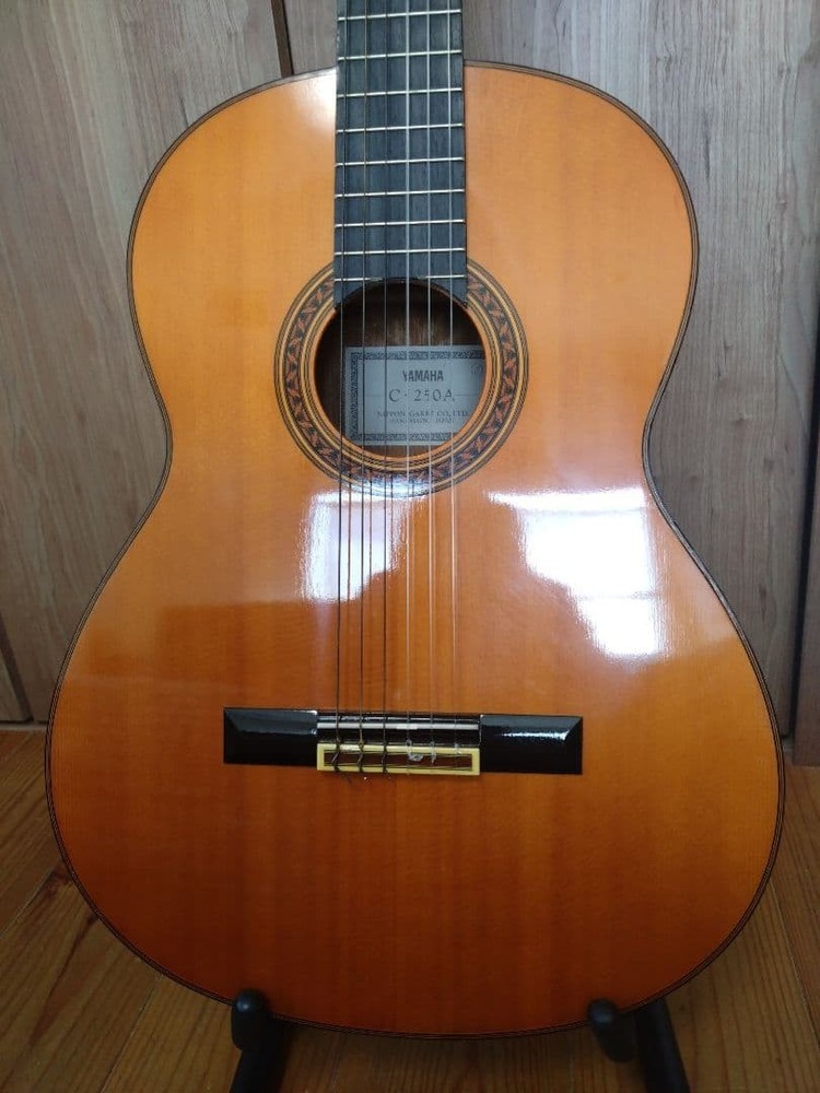 Yamaha Guitar C-250A
