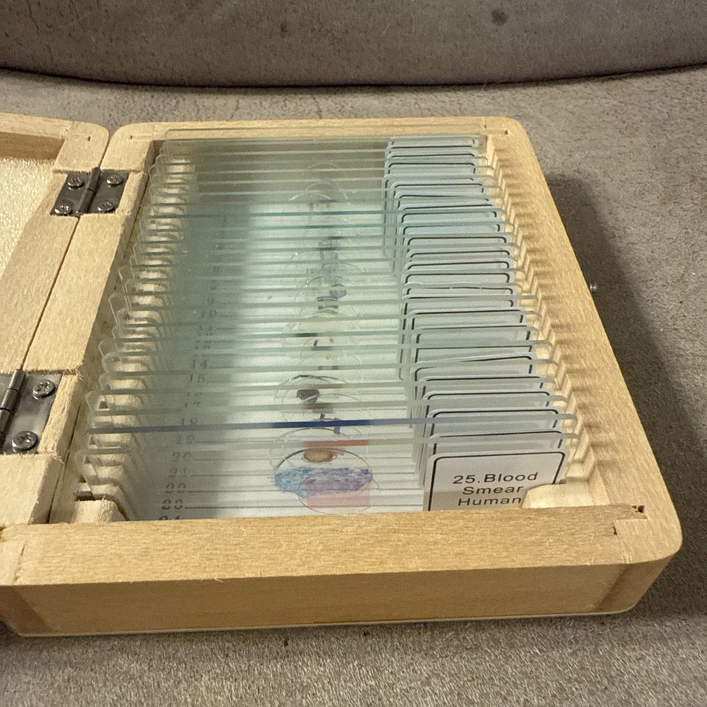 Celestron 25 Prepared Microscope Slide Kit with Storage Case - Celestron #44410